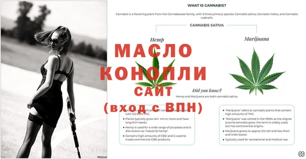 спиды Сосновоборск