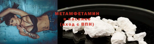 ГАЛЛЮЦИНОГЕННЫЕ ГРИБЫ Сосновый Бор