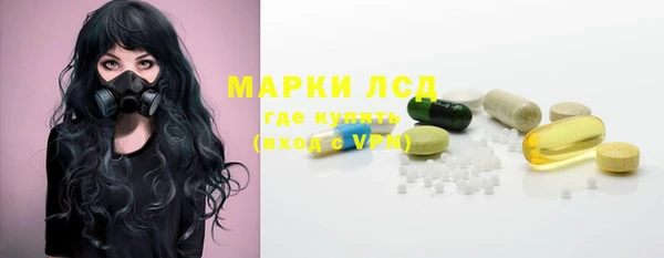 ГАЛЛЮЦИНОГЕННЫЕ ГРИБЫ Сосновый Бор