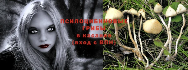 ГАЛЛЮЦИНОГЕННЫЕ ГРИБЫ Сосновый Бор