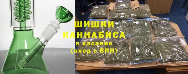 ГАЛЛЮЦИНОГЕННЫЕ ГРИБЫ Сосновый Бор