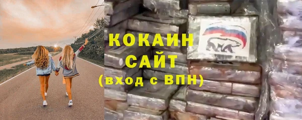ГАЛЛЮЦИНОГЕННЫЕ ГРИБЫ Сосновый Бор